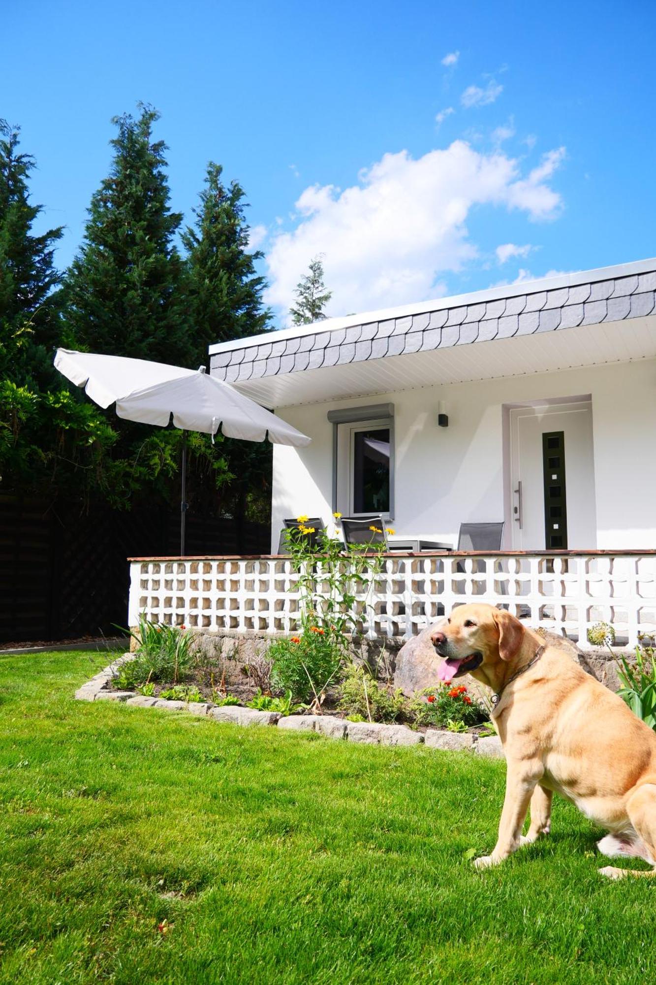 Haus Kleiner Findling Im Lausitzer Seenland Tätzschwitz Buitenkant foto